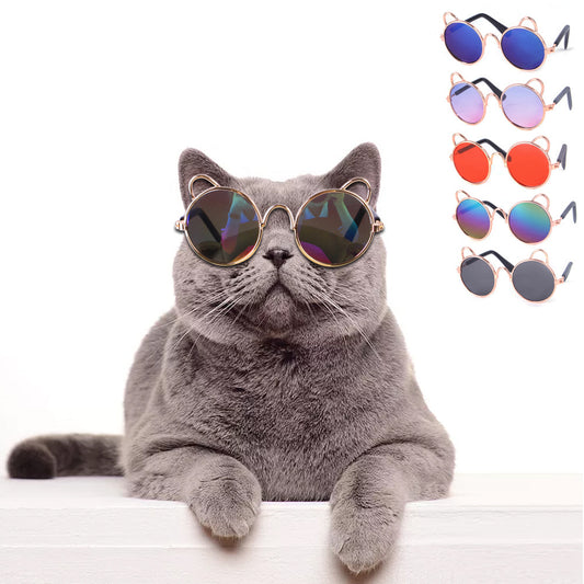 Pet Cat / Dog / Teddy Cute Sunglasses
