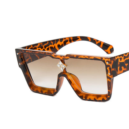 Large Frame Trendy Sunglasses