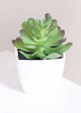 Artificial Potted Succulents Home Decor