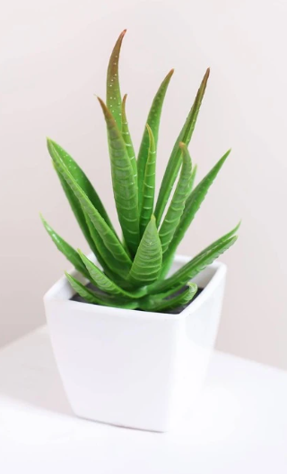 Artificial Potted Succulents Home Decor