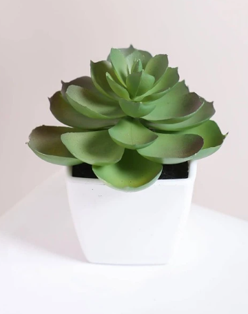 Artificial Potted Succulents Home Decor