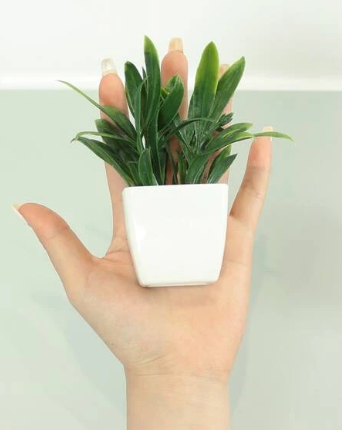 Artificial Potted Succulents Home Decor