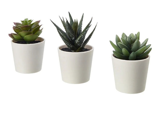 3pcs/set Artificial potted plant with pot, in/outdoor Succulent